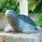 酒列磯前神社(幸運の亀さん)SS//