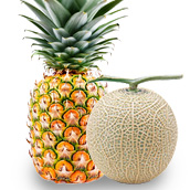 お土産・メロン・パイナップル（イメージ）SS//