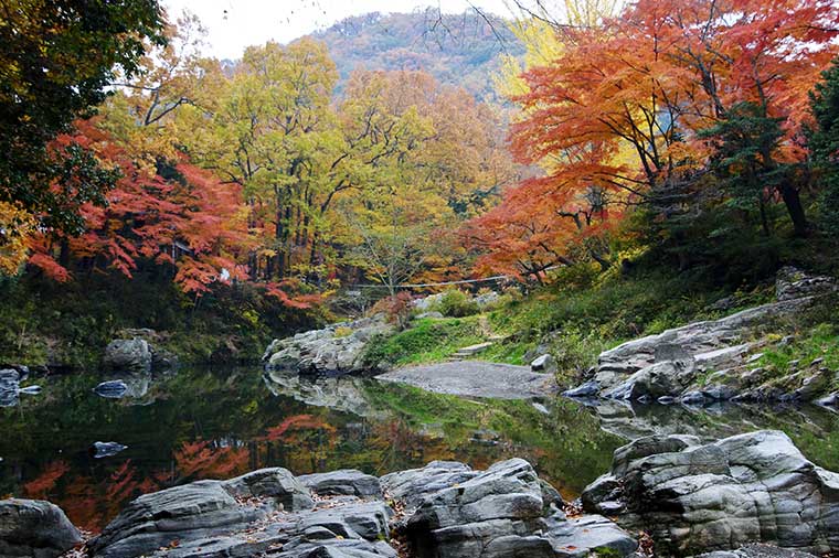 秋深まる岩畳の紅葉　嵐山渓谷とガトーフェスタハラダ