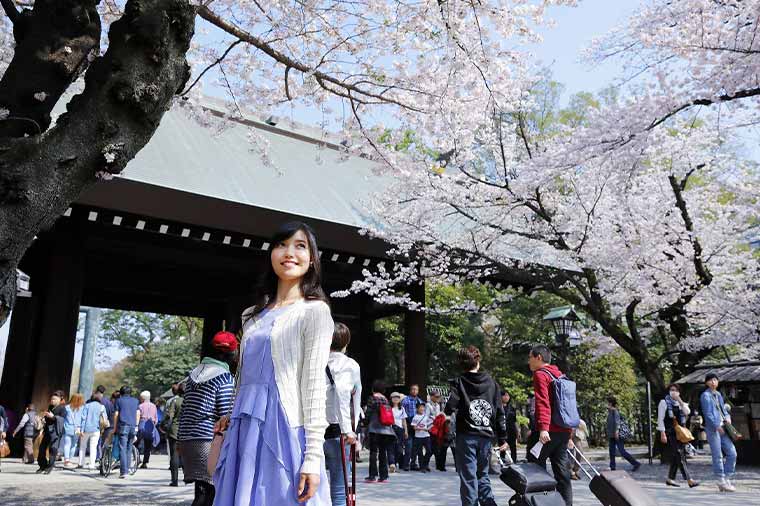 お得に満喫！桜満開の靖國神社・千鳥ヶ淵と人気の国会議事堂見学