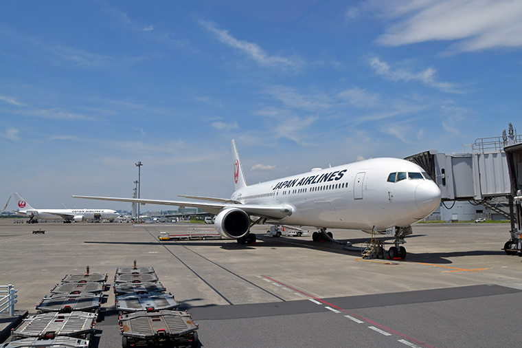 【WEB限定】ＪＡＬグループ×はとバスコラボ企画 ＪＡＬ客室乗務員体験と国際線ビジネスクラス機内食ランチ