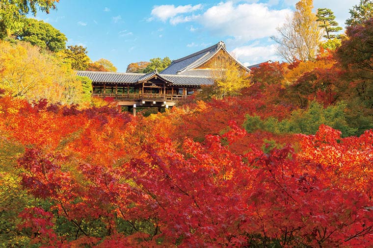 【トイレ付バス・ピアニシモで行く】いにしえの京都・滋賀紅葉絵巻