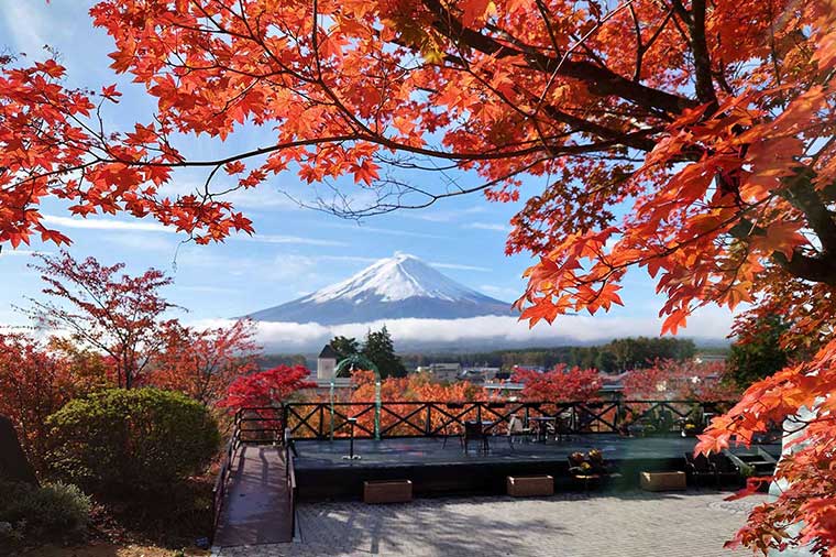 【トイレ付バス・レガートで行く】富士の絶景めぐり♪錦秋の河口湖と森のレストランで優雅なランチ