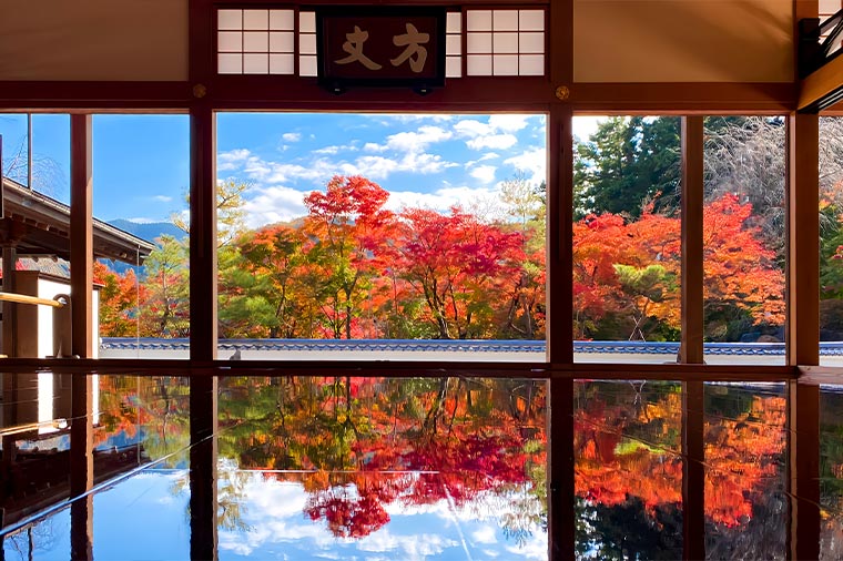 息をのむ美しさ宝徳寺「秋の床もみじ」とあしかがフラワーパークイルミネーション