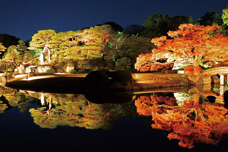 並ばず優先入場！庭紅葉の六義園 夜間特別観賞と東京夜景ドライブ