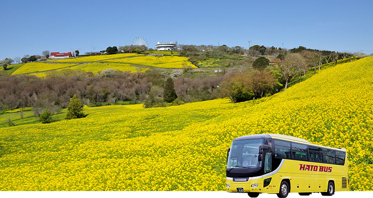 日帰りバスツアー・マザー牧場菜の花