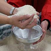 桔梗屋・信玄餅詰め放題（ＳＳ）//