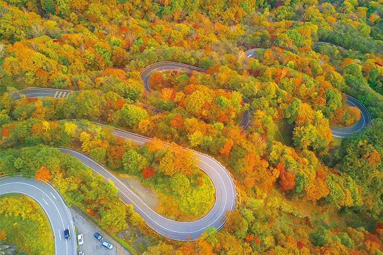 紅葉奏でる世界遺産日光東照宮といろは坂絶景ドライブで華厳の滝