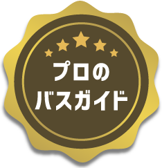 プロのスガイド