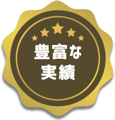 豊富な実績
