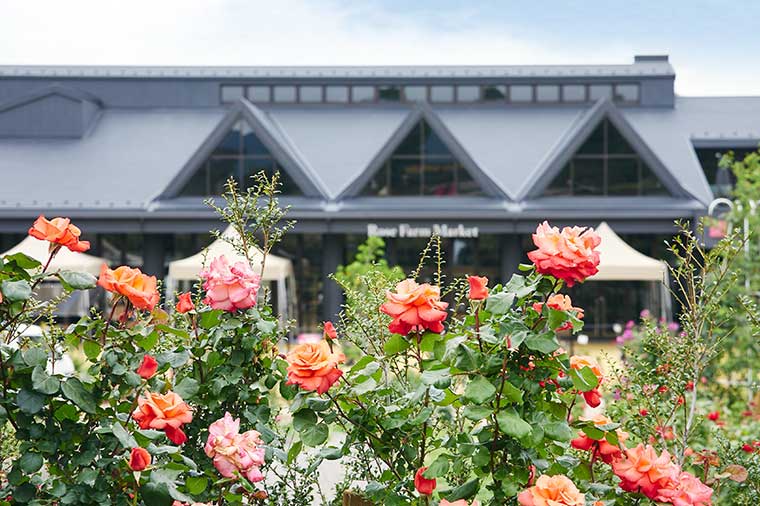 いばらきフラワーパーク