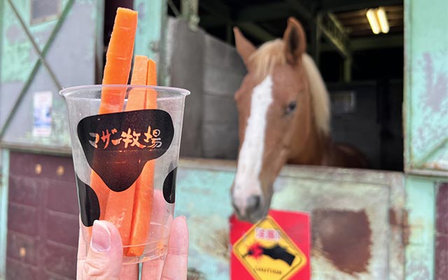 おうまさんとにんじん