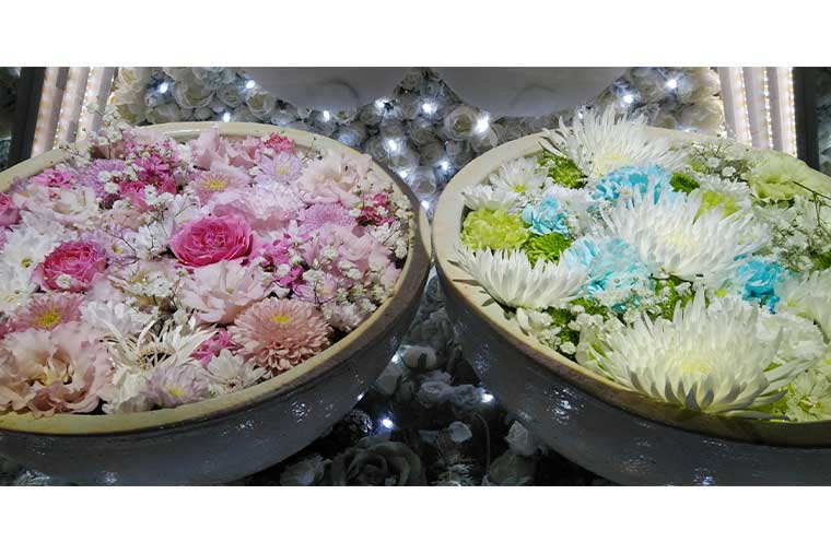あしかがフラワーパーク・花手水