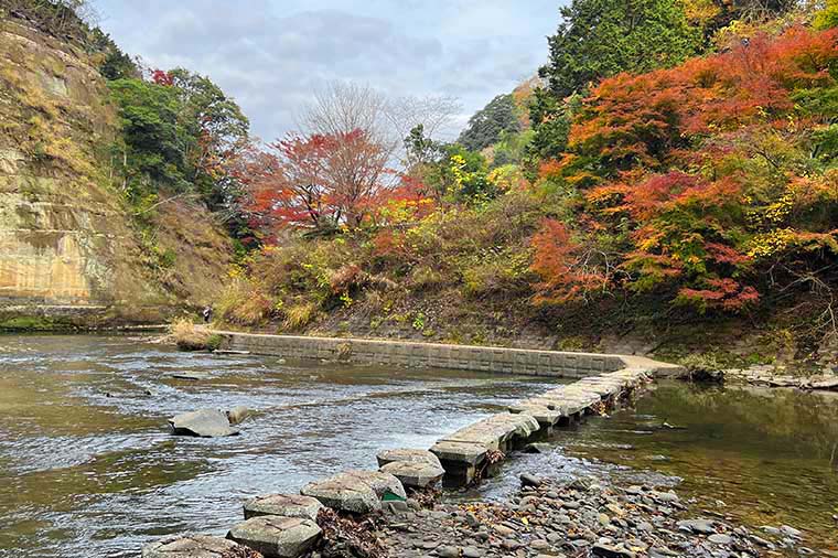 中瀬遊歩道の橋（下流をみる）