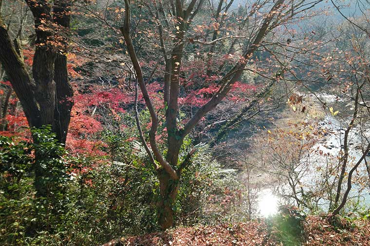 山麓園・炉端焼き