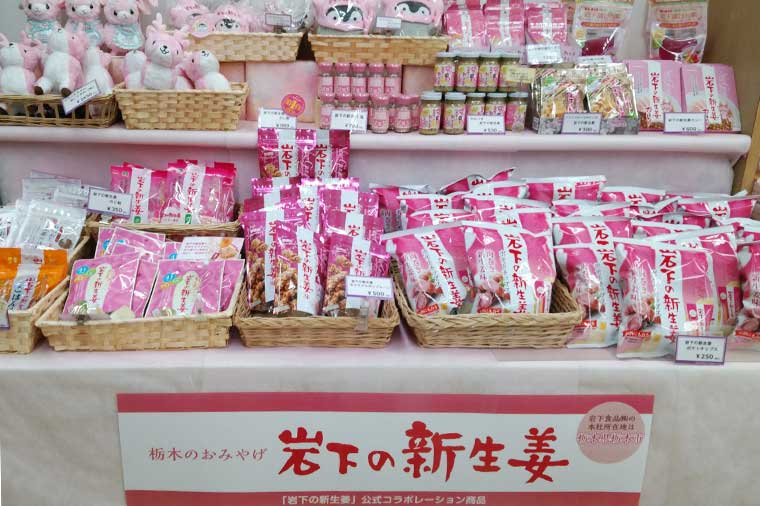 岩下新生姜・お土産