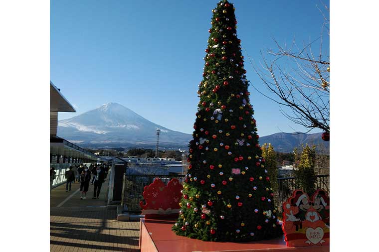 御殿場クリスマスツリーと富士山