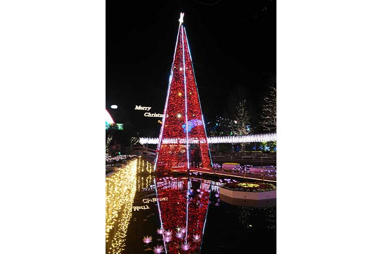 あしかがフラワーパーク・クリスマス