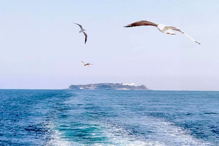 初島・