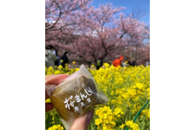 桜まんじゅう