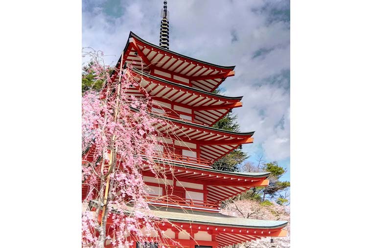 新倉山浅間公園五重塔としだれ桜