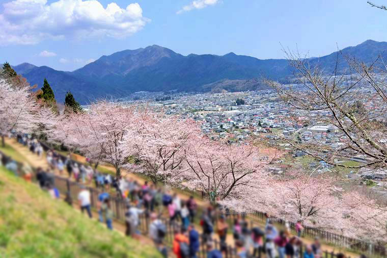 新倉山浅間公園