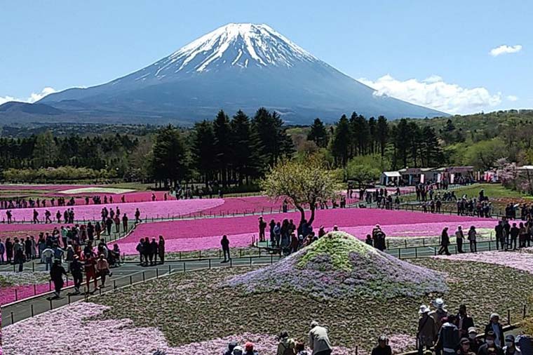 富士山とピアニシモ