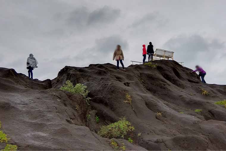 野島﨑「房総フラワーイン」