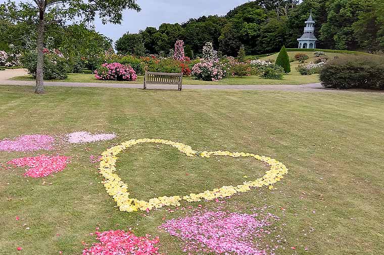 河津バガテル公園・バラの絨毯