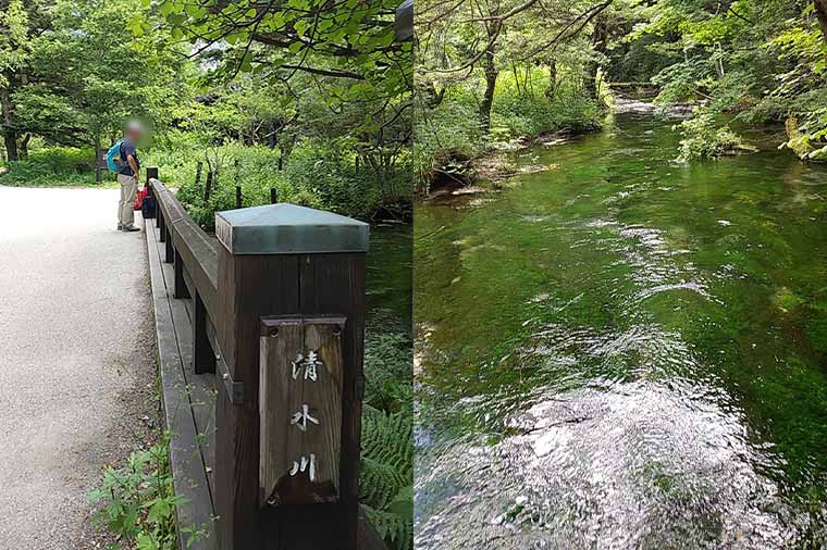 上高地・清水川