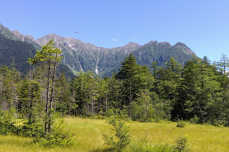 穂高連峰