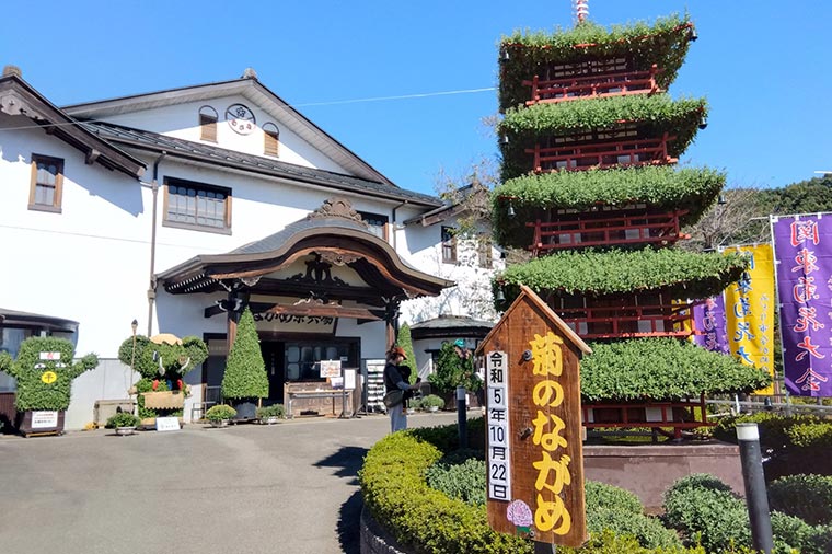 高津戸峡・関東菊花大会