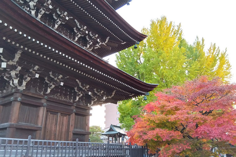 飛騨分国寺