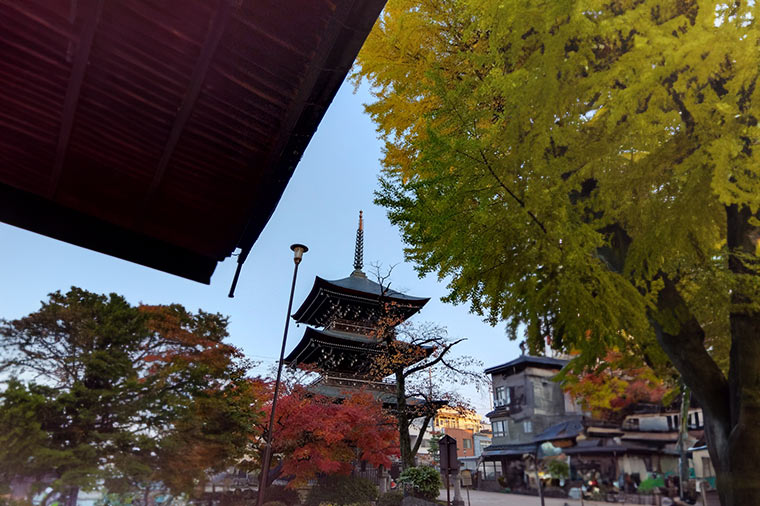 飛騨分国寺