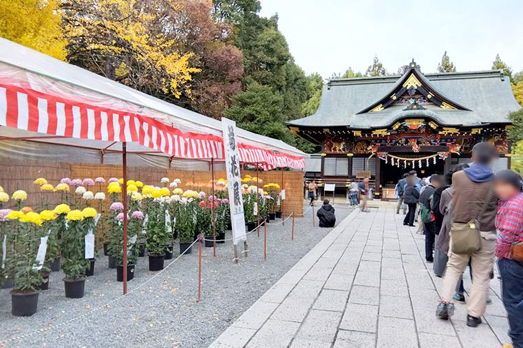 秩父神社