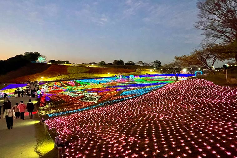 東京ドイツ村・イルミネーション