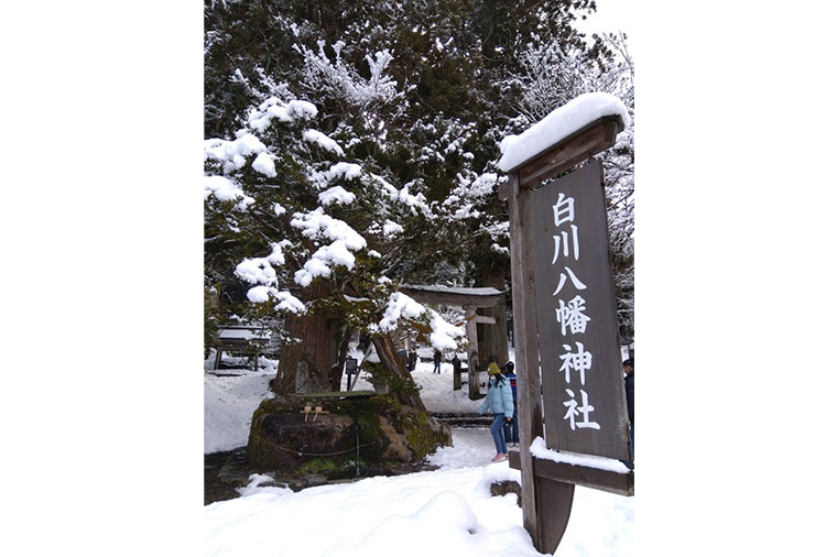 白川八幡神社