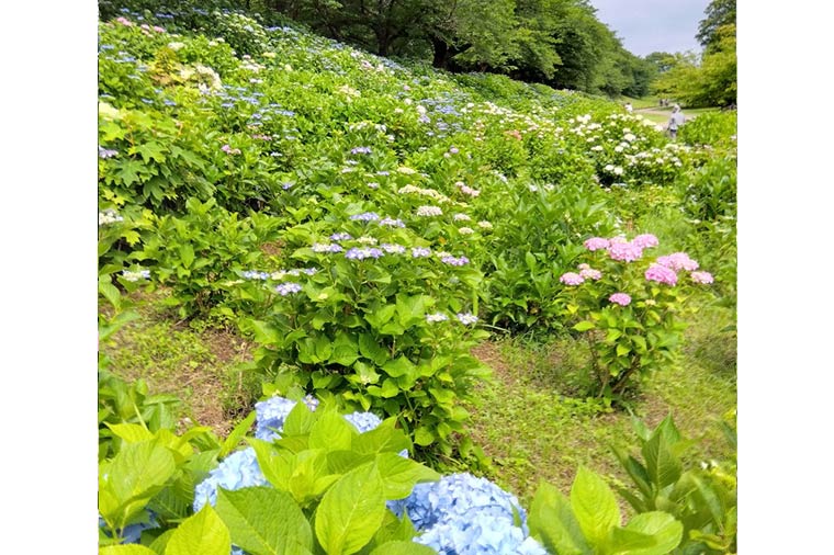 宝徳寺
