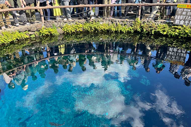 忍野八海