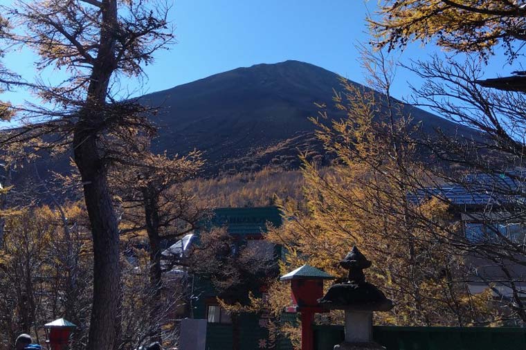わたかの島渡し船