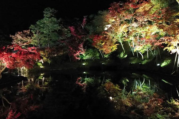 高台寺・紅葉来ライトアップ