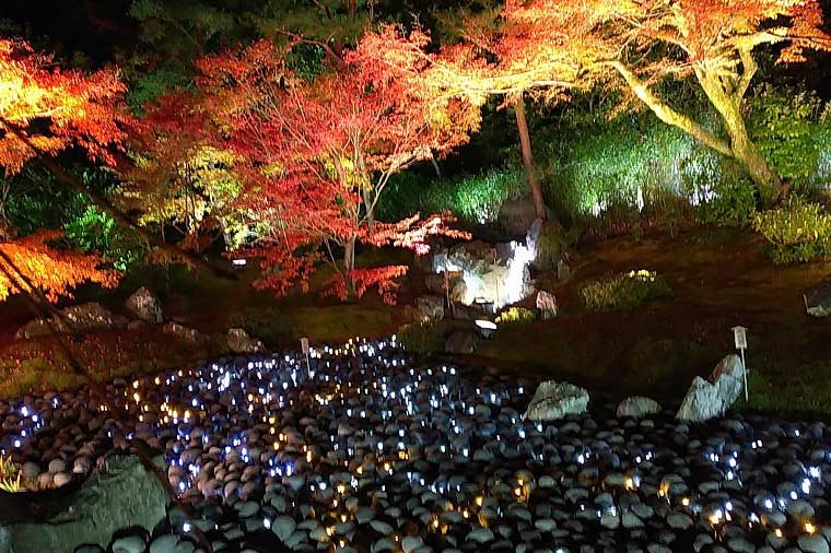 宝厳院ライトアップ