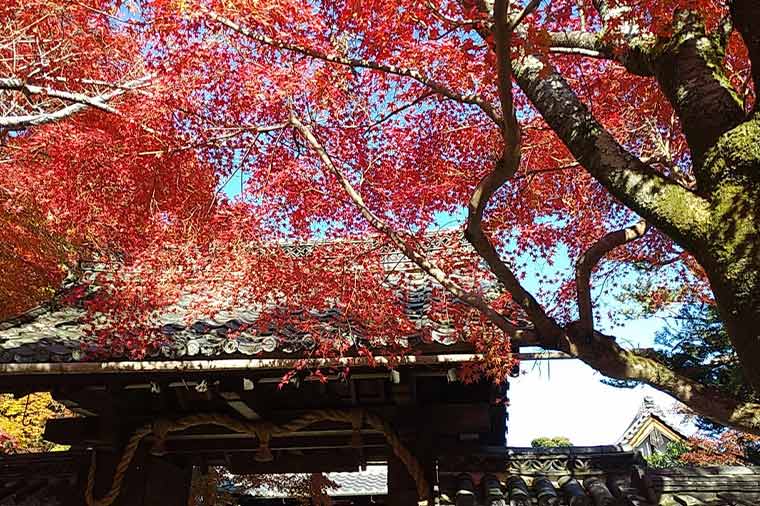 石山寺