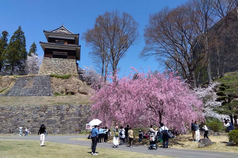 上田城址公園