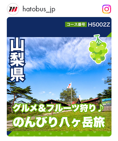 H5002Z