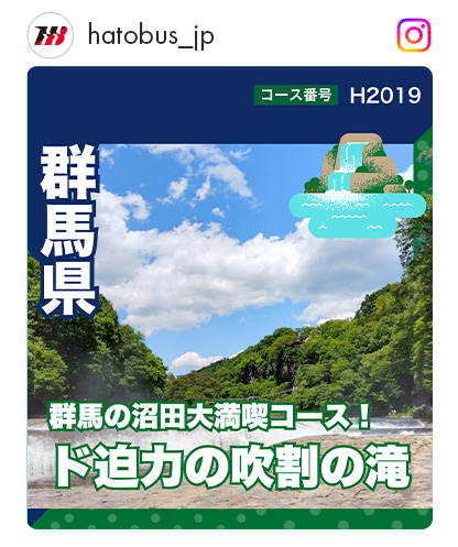 H2019