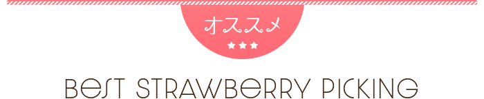 いちご狩りバスツアー