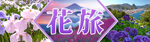 初夏の花旅特集2025
