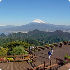 伊豆パノラマパーク展望広場
