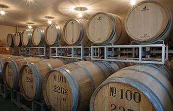 盛田甲州ワイナリー